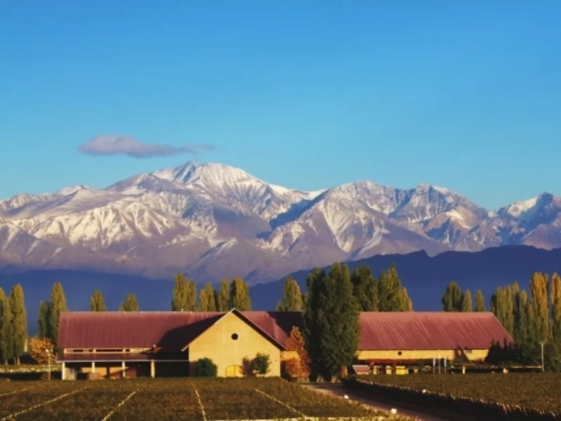 The Best wineries to Visit in Mendoza