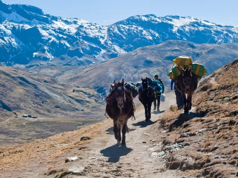 Crossing the Andes on horseback from Argentina to Chile